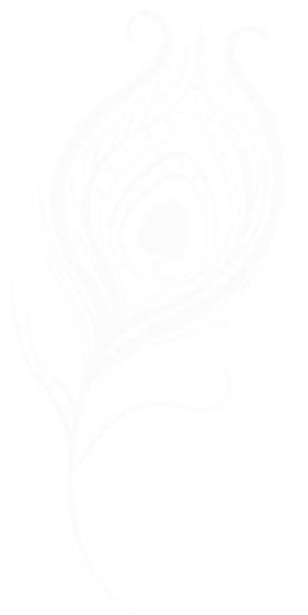 Peacock Feather
